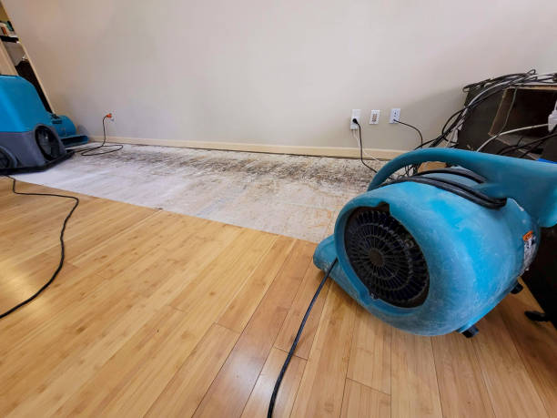 Professional Ceiling Water Damage Repair technician working in North Haven, ME